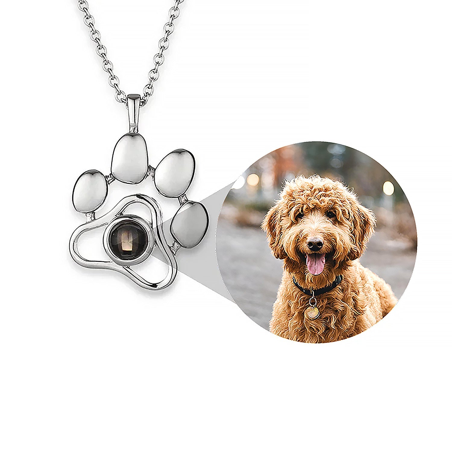 Pet Memorial Gifts - Photo Memory Bracelet LLC